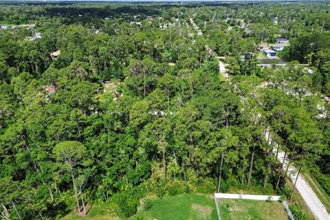 Land in DeLand, Florida № 2161765 - photo 7
