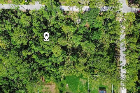 Land in DeLand, Florida № 2161765 - photo 5