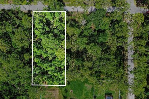 Land in DeLand, Florida № 2161765 - photo 2