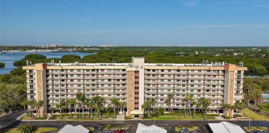 Condo à Saint Petersburg, Floride, 2 chambres № 2414012