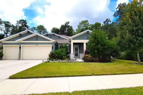 Villa ou maison à vendre à DeLand, Floride: 4 chambres, 268.67 m2 № 1915073 - photo 1