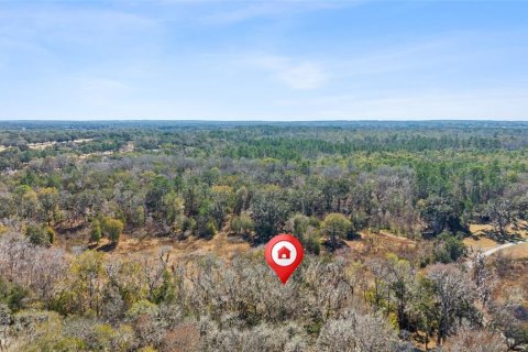 Land in Brooksville, Florida № 2160567 - photo 11