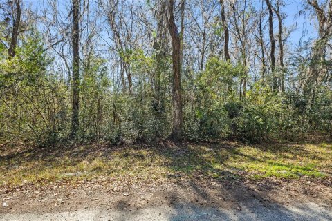 Land in Brooksville, Florida № 2160567 - photo 3