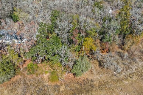 Land in Brooksville, Florida № 2160567 - photo 8