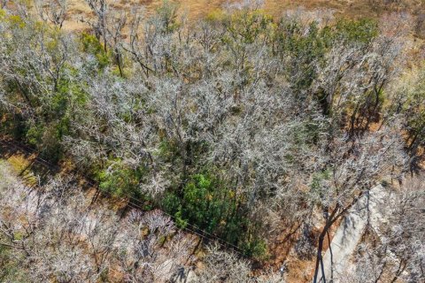 Land in Brooksville, Florida № 2160567 - photo 5