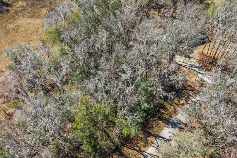 Land in Brooksville, Florida № 2160567 - photo 6