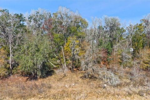 Land in Brooksville, Florida № 2160567 - photo 7