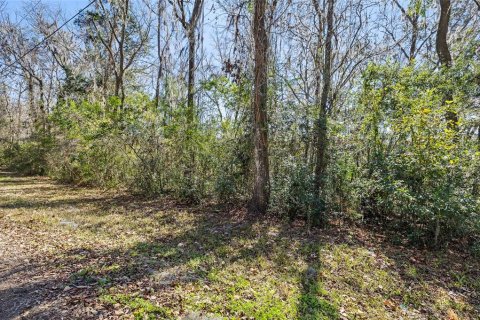 Land in Brooksville, Florida № 2160567 - photo 2