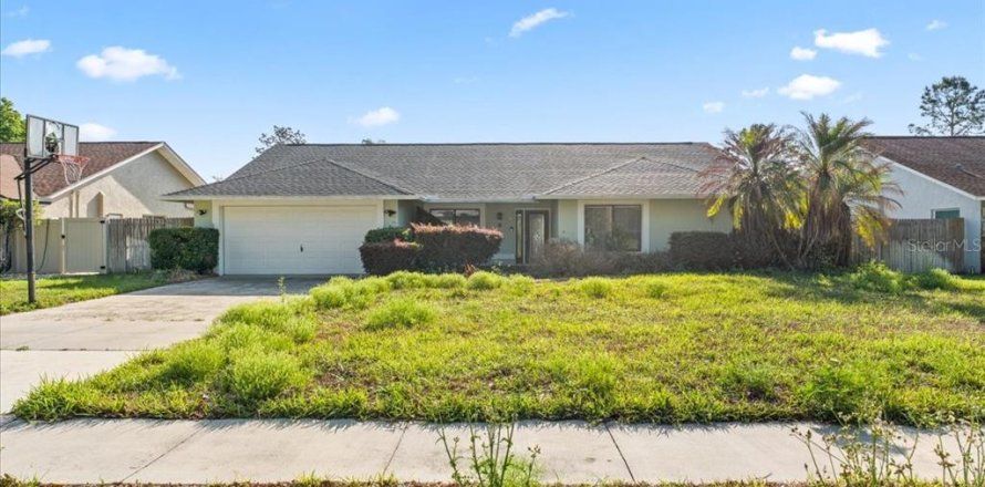 House in Brandon, Florida 4 bedrooms, 202.25 sq.m. № 2223007