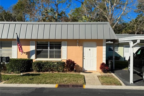 Condo à New Port Richey, Floride, 1 chambre  № 2235436