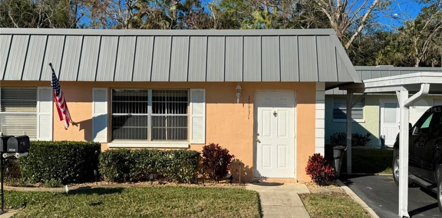Condo in New Port Richey, Florida, 1 bedroom  № 2235436