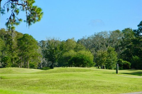 Condo in New Port Richey, Florida, 1 bedroom  № 2235436 - photo 21