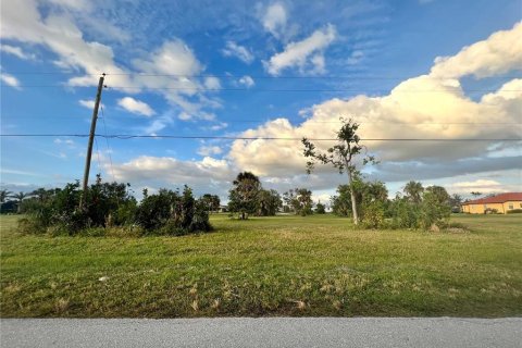 Land in Punta Gorda, Florida № 2159452