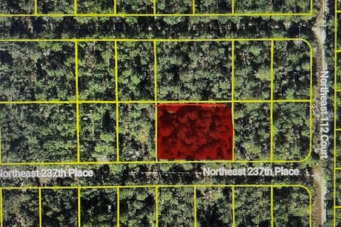 Land in Fort MC Coy, Florida № 2164274