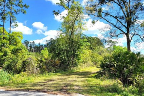 Terreno en venta en DeLand, Florida № 1056560 - foto 5