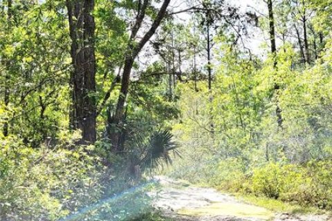 Terreno en venta en DeLand, Florida № 1056560 - foto 10