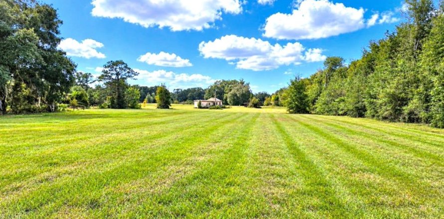 Immobilier commercial à Belleview, Floride 55.83 m2 № 2434472