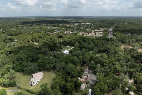 Villa ou maison à vendre à DeLand, Floride: 3 chambres, 215.35 m2 № 2211504 - photo 11