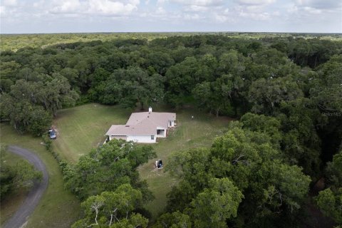 Villa ou maison à vendre à DeLand, Floride: 3 chambres, 215.35 m2 № 2211504 - photo 7