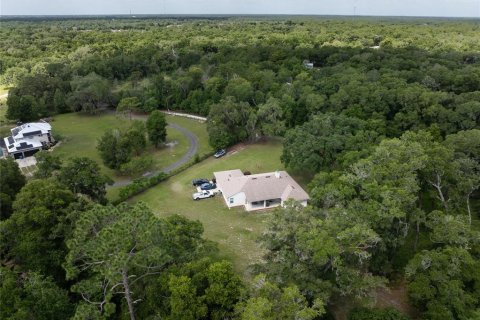Villa ou maison à vendre à DeLand, Floride: 3 chambres, 215.35 m2 № 2211504 - photo 8