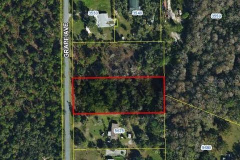 Land in Okeechobee, Florida № 1835434 - photo 2