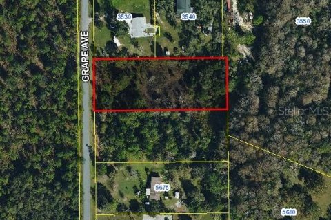 Land in Okeechobee, Florida № 1835434 - photo 1