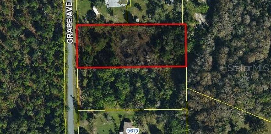 Land in Okeechobee, Florida № 1835434