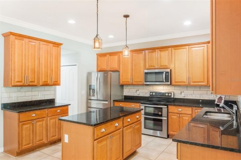 Villa ou maison à vendre à Groveland, Floride: 6 chambres, 363.06 m2 № 1843519 - photo 9