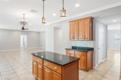 Villa ou maison à vendre à Groveland, Floride: 6 chambres, 363.06 m2 № 1843519 - photo 5