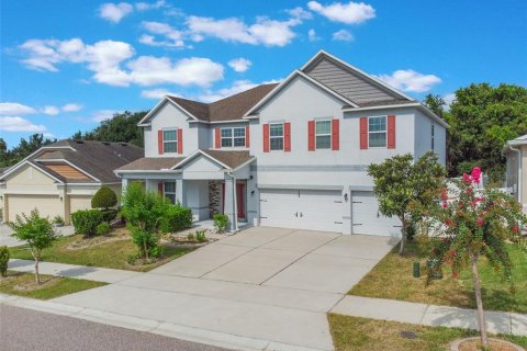 Villa ou maison à vendre à Groveland, Floride: 6 chambres, 363.06 m2 № 1843519 - photo 1