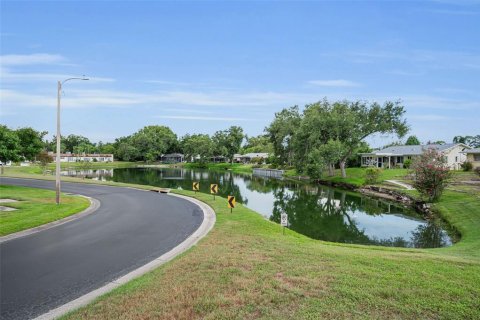 Villa ou maison à vendre à Palm Harbor, Floride: 1 chambre, 59.09 m2 № 2220815 - photo 6