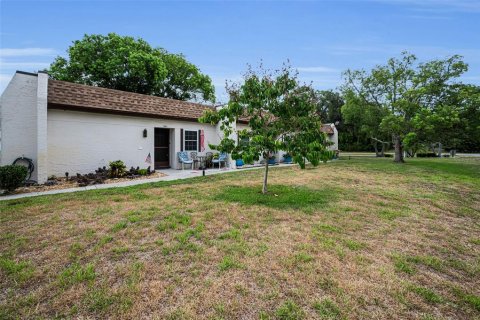Villa ou maison à vendre à Palm Harbor, Floride: 1 chambre, 59.09 m2 № 2220815 - photo 4
