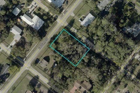 Terrain à Bunnell, Floride № 2097509