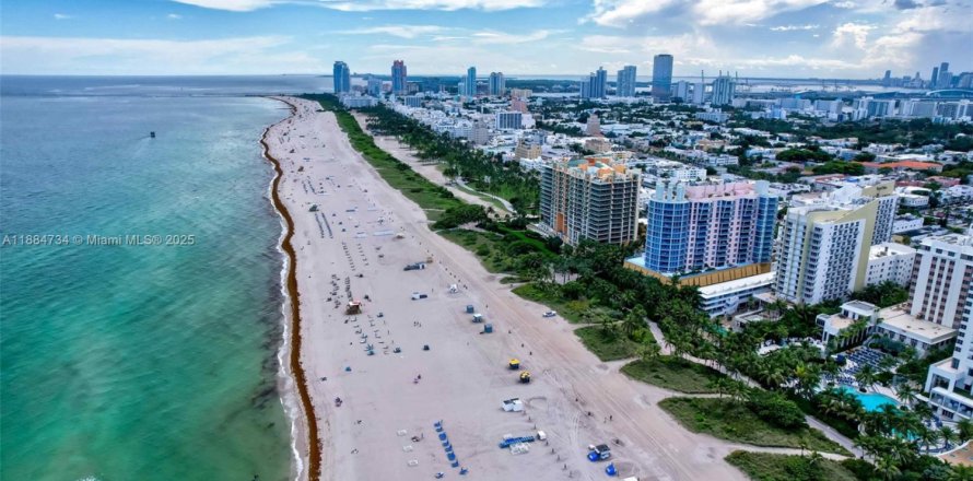 Condo in Miami Beach, Florida, 2 bedrooms  № 2013232