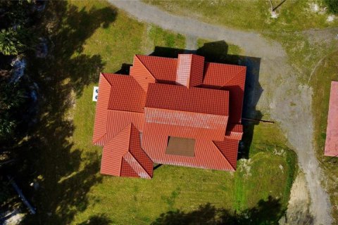 Villa ou maison à vendre à Pierson, Floride: 6 chambres, 387.4 m2 № 2437135 - photo 4