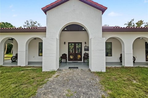 Villa ou maison à vendre à Pierson, Floride: 6 chambres, 387.4 m2 № 2437135 - photo 6