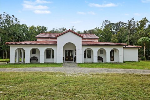 Villa ou maison à vendre à Pierson, Floride: 6 chambres, 387.4 m2 № 2437135 - photo 5