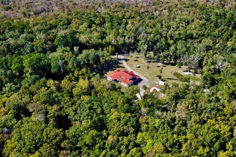 Villa ou maison à vendre à Pierson, Floride: 6 chambres, 387.4 m2 № 2437135 - photo 3