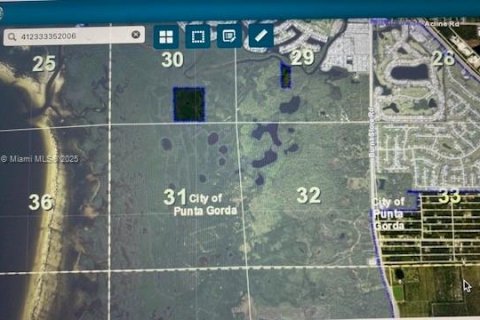 Terrain à vendre à Punta Gorda, Floride № 1960542 - photo 6