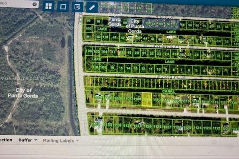 Terrain à vendre à Punta Gorda, Floride № 1960542 - photo 5