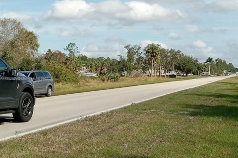 Terrain à vendre à Punta Gorda, Floride № 1960542 - photo 11