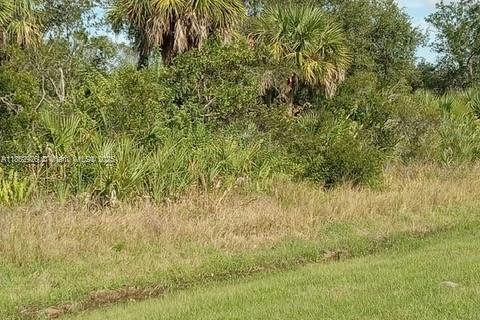 Terrain à vendre à Punta Gorda, Floride № 1960542 - photo 2