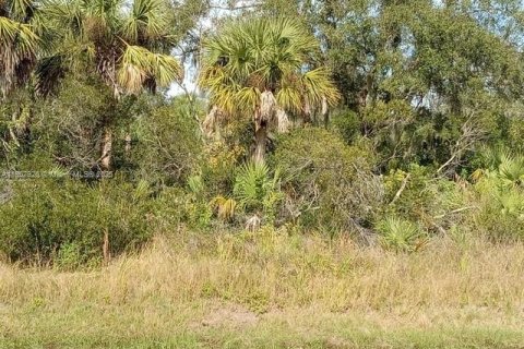 Terrain à Punta Gorda, Floride № 1960542