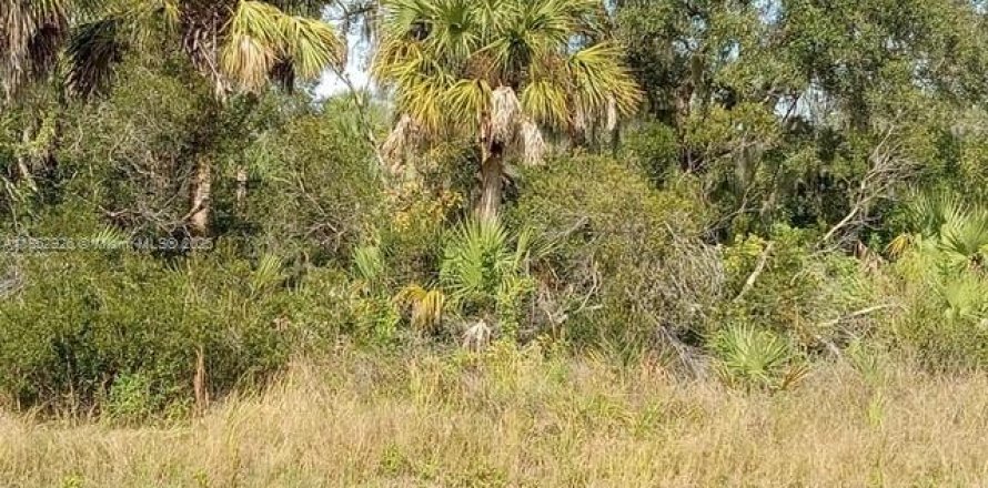 Terrain à Punta Gorda, Floride № 1960542