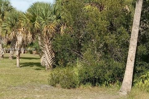 Terrain à vendre à Punta Gorda, Floride № 1960542 - photo 3