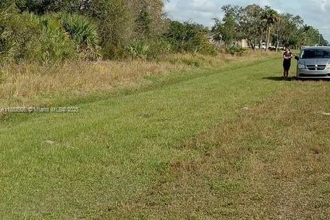 Terrain à vendre à Punta Gorda, Floride № 1960542 - photo 9
