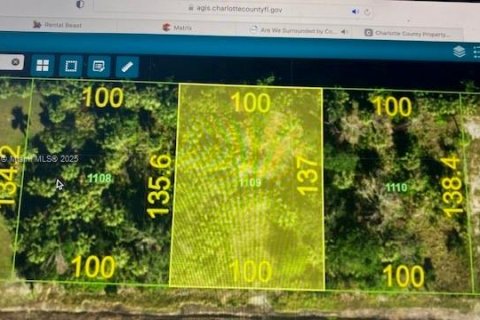 Terrain à vendre à Punta Gorda, Floride № 1960542 - photo 4