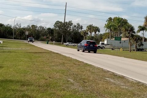Terrain à vendre à Punta Gorda, Floride № 1960542 - photo 12