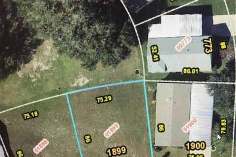 Land in Zellwood, Florida № 2162973