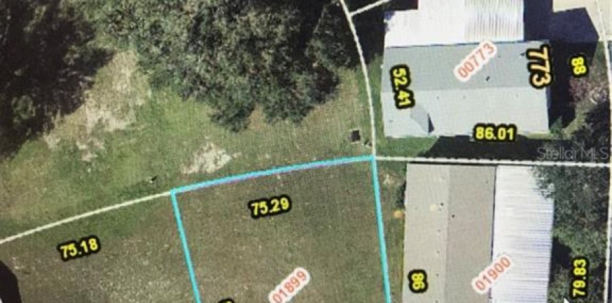 Land in Zellwood, Florida № 2162973